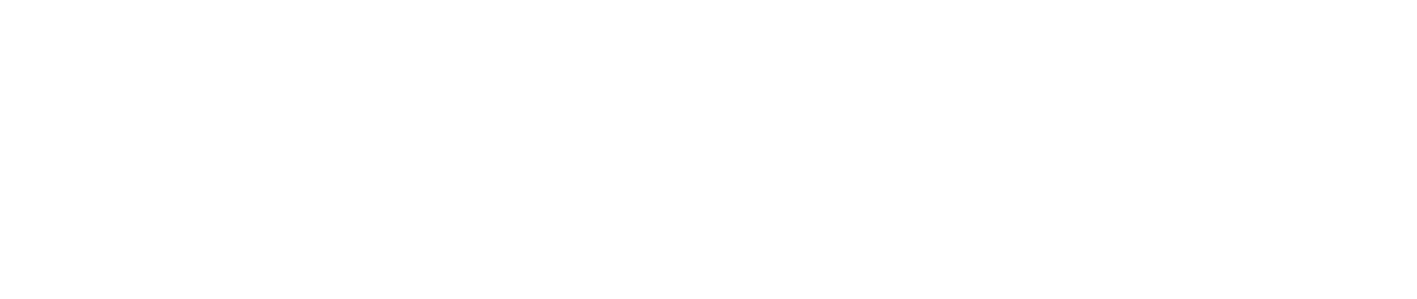 FCI - Financial Consulting